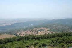 das bild zeigt die landschaft mit dem Berg karmel